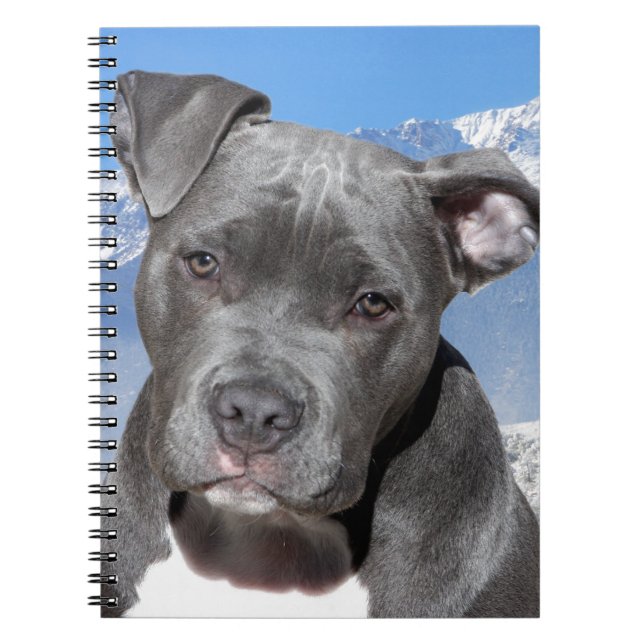 Cuaderno Perro de perrito de Pitbull Terrier del americano (Frente)