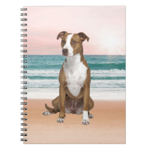 Cuaderno Perro de Pitbull lindo sentado en la playa con pue