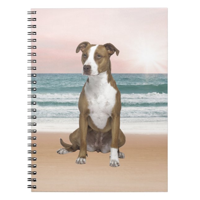 Cuaderno Perro de Pitbull lindo sentado en la playa con pue (Frente)