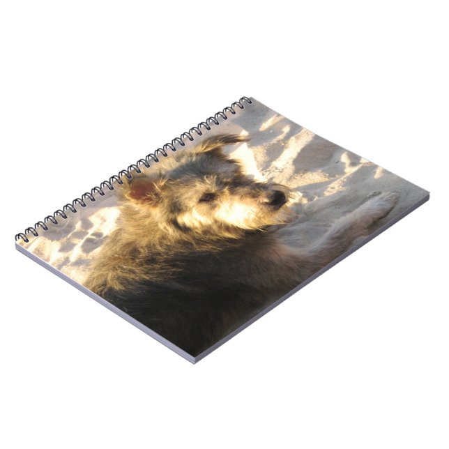 Cuaderno Perro de playa tailandés (Lado Izquierdo)