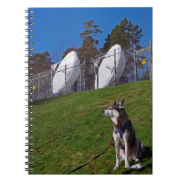 Cuaderno Perro de seguimiento