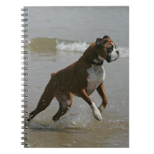 Cuaderno Perro del boxeador en agua