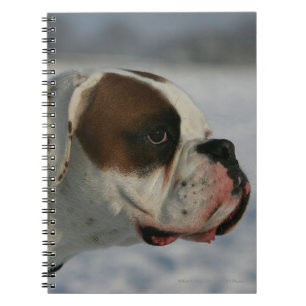 Cuaderno Perro del boxeador en la nieve