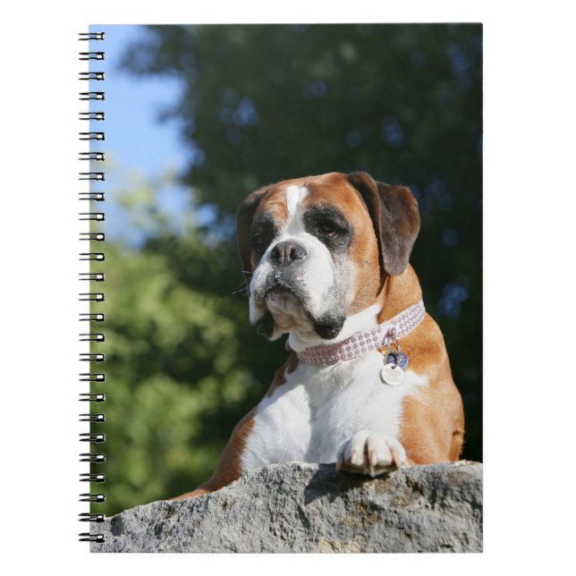 Cuaderno Perro del boxeador que pone en una roca (Frente)