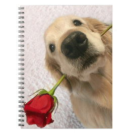Cuaderno Perro del golden retriever con el rosa rojo