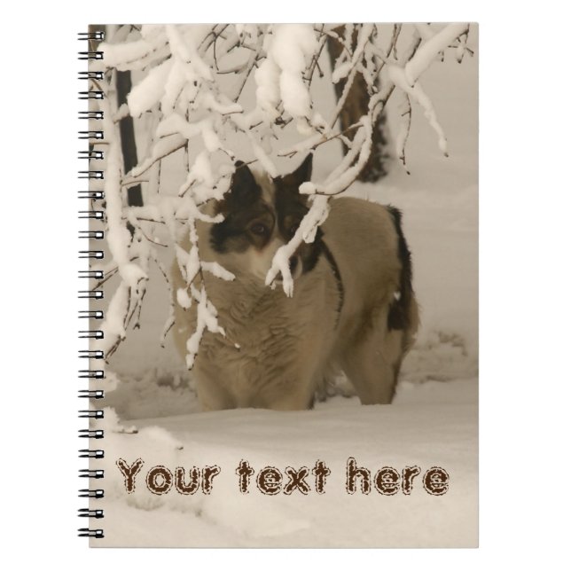 Cuaderno Perro en invierno (Frente)