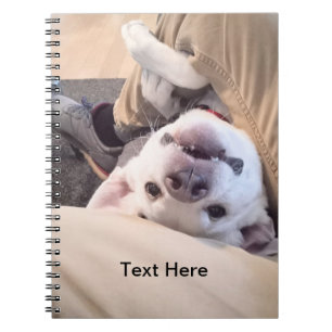 Cuaderno Perro gracioso no será ignorado. Foto cómica
