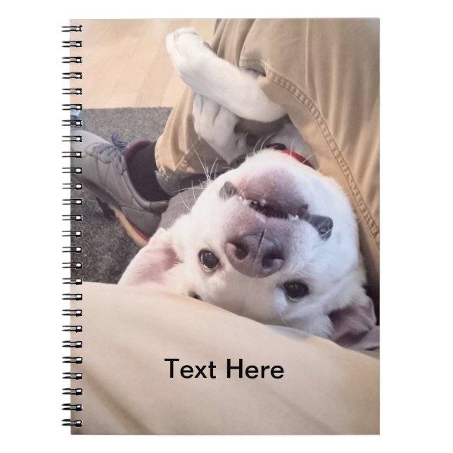 Cuaderno Perro gracioso no será ignorado. Foto cómica (Frente)