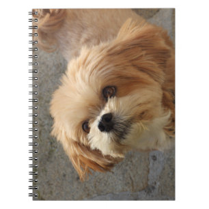 Cuaderno Perro Lhasa Apso en un jardín
