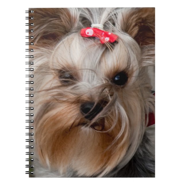 Cuaderno Perro lindo (Frente)