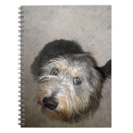 Cuaderno Perro lindo buscando