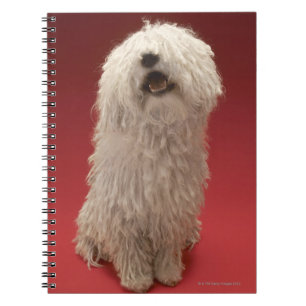 Cuaderno Perro lindo de Komondor