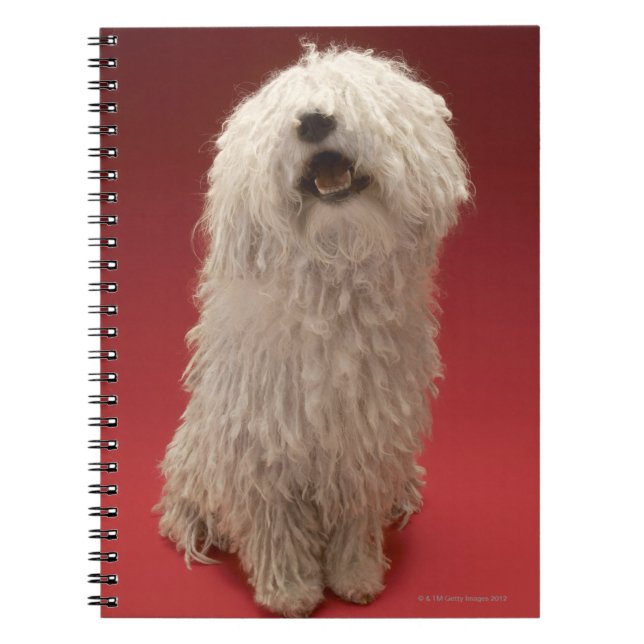 Cuaderno Perro lindo de Komondor (Frente)