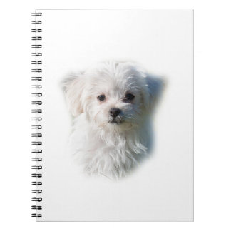 Cuaderno Perro maltés lindo