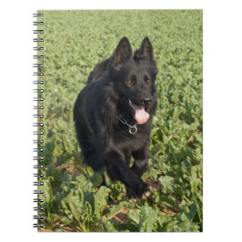 Cuaderno Perro negro