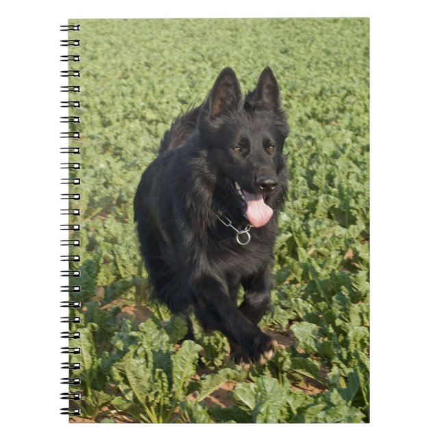 Cuaderno Perro negro (Frente)