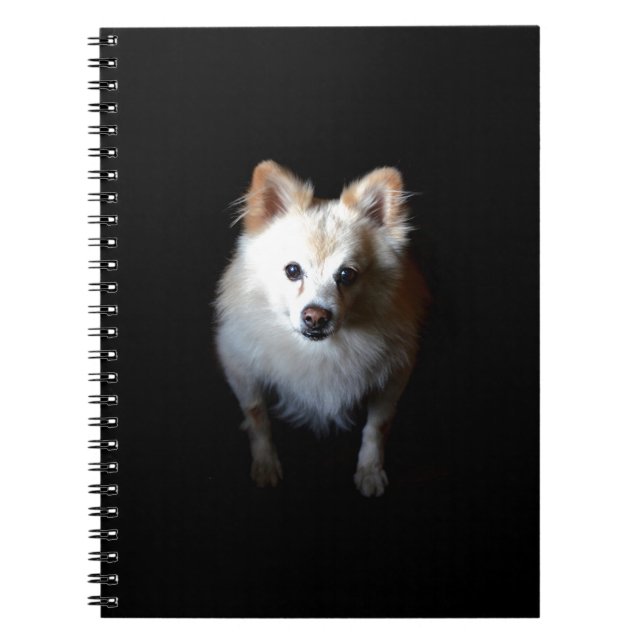 Cuaderno Perro panomerano en la oscuridad (Frente)