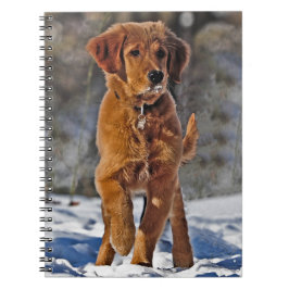 Cuaderno Perro picante de Golden Retriever en la nieve