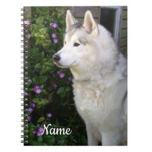 Cuaderno Perro picante Husky Siberiano