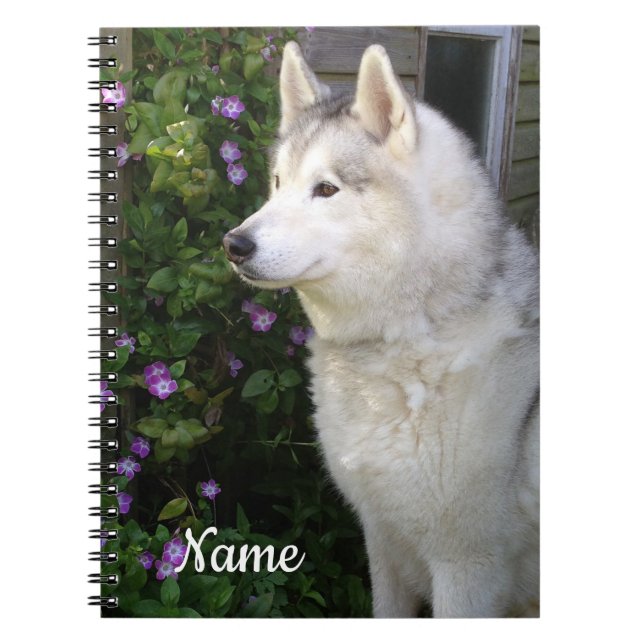 Cuaderno Perro picante Husky Siberiano (Frente)
