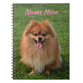 Cuaderno Perro Pomerano Fluffy Brown personalizado