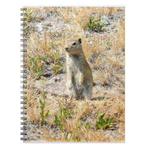 Cuaderno Perro Prairie en Yosemite, CA