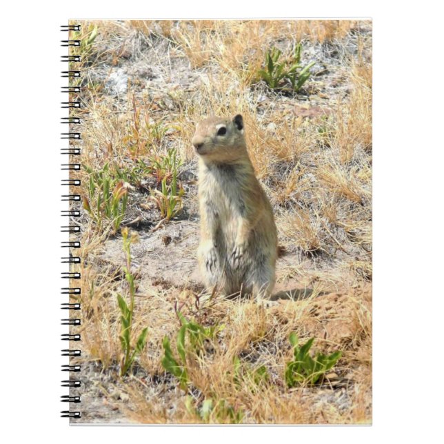 Cuaderno Perro Prairie en Yosemite, CA (Frente)