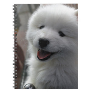 Cuaderno Perro Samoyed