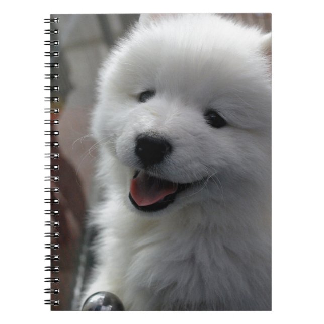 Cuaderno Perro Samoyed (Frente)