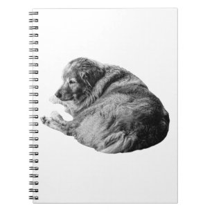 Cuaderno Perro Sombreado Inspira Apacible Entrada en Diario