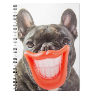 Cuaderno Perro sonriente de las imágenes el   A de Getty