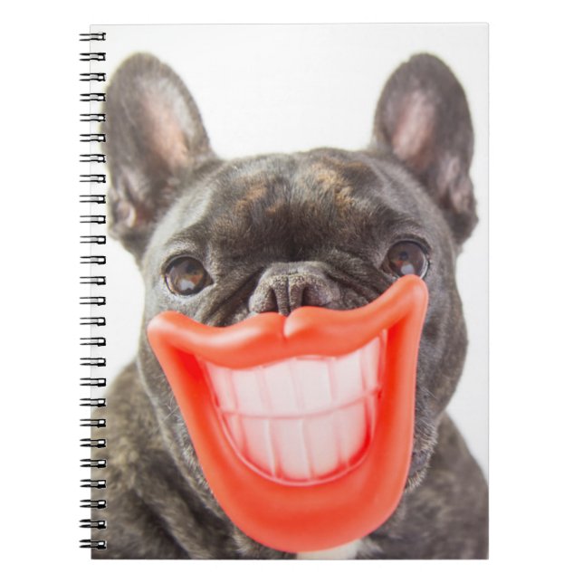 Cuaderno Perro sonriente de las imágenes el | A de Getty (Frente)