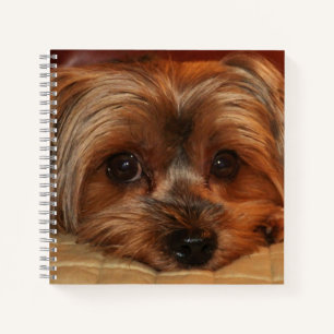 Cuaderno Perro Terrier de Cute Yorkshire