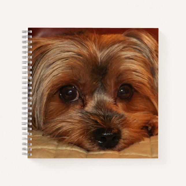 Cuaderno Perro Terrier de Cute Yorkshire (Anverso)