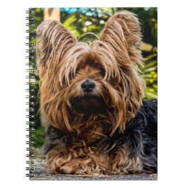 Cuaderno Perro Terrier de Yorkshire