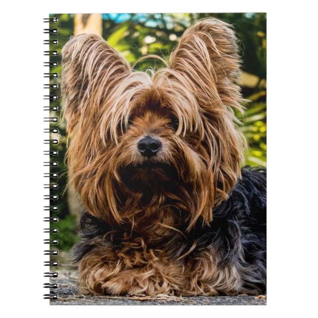 Cuaderno Perro Terrier de Yorkshire (Frente)