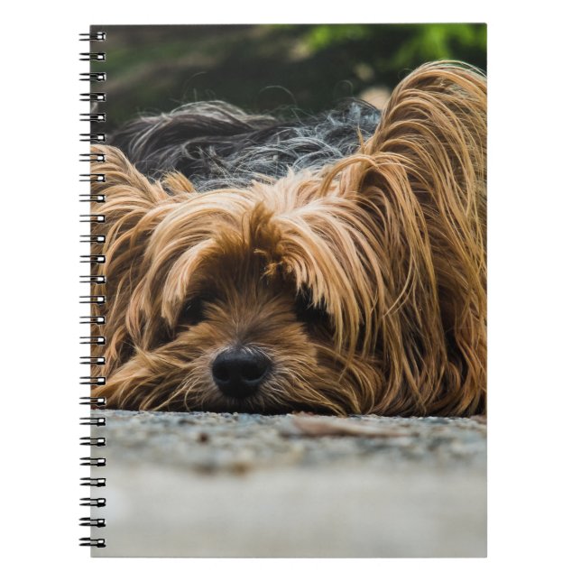 Cuaderno Perro Terrier de Yorkshire (Frente)
