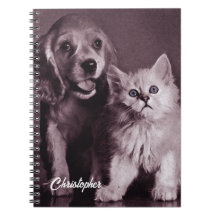 Perro y gato, buscando personalizado