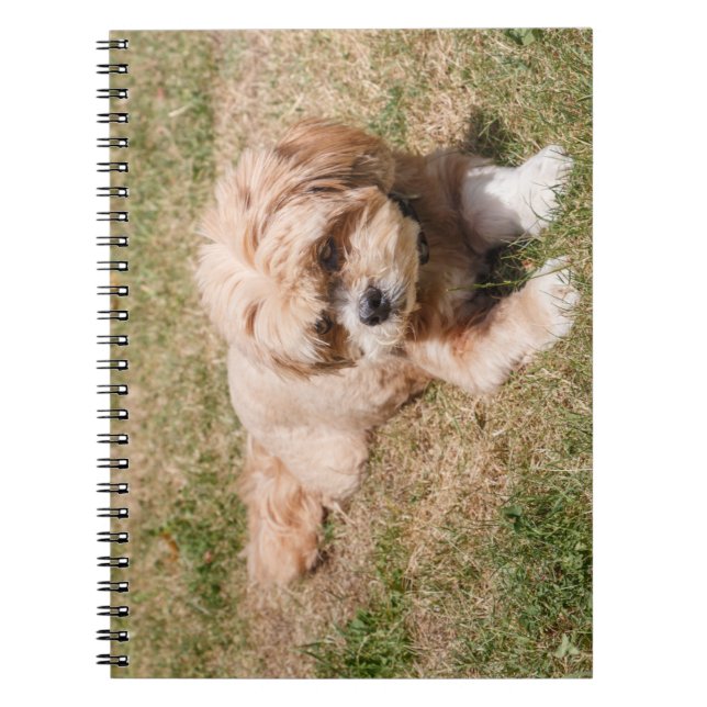 Cuaderno Perros de Lhasa Apso (Frente)