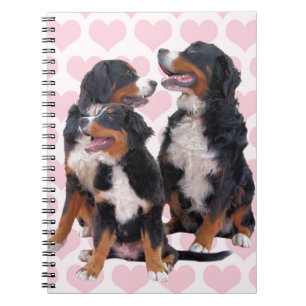 Cuaderno Perros de montaña de Berna con corazones rosas
