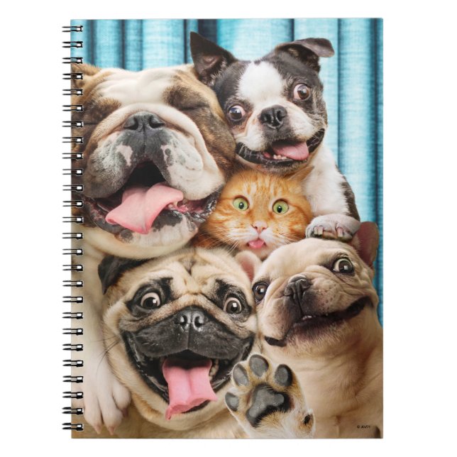 Cuaderno Perros y una foto de grupo de gatos (Frente)