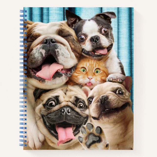 Cuaderno Perros y una foto de un grupo de gatos (Anverso)