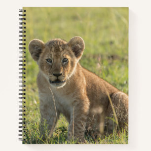 Cuaderno Personalización de nombre espiral africana de club