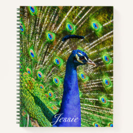 Cuaderno Personalización Nombre Peacock Feathers Diversión 