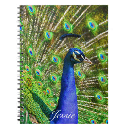 Cuaderno Personalización Nombre Peacock Feathers Diversión 