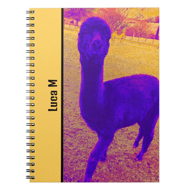CUADERNO PERSONALIZADO ABSTRACTO DE IMAGEN ALPACA LUMINOSA (Frente)