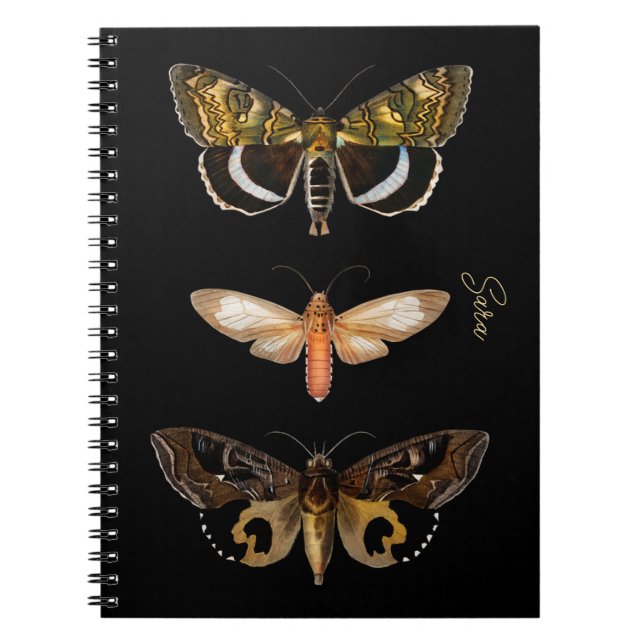 Cuaderno Personalizado de Mariposa Polilla Vintage (Frente)