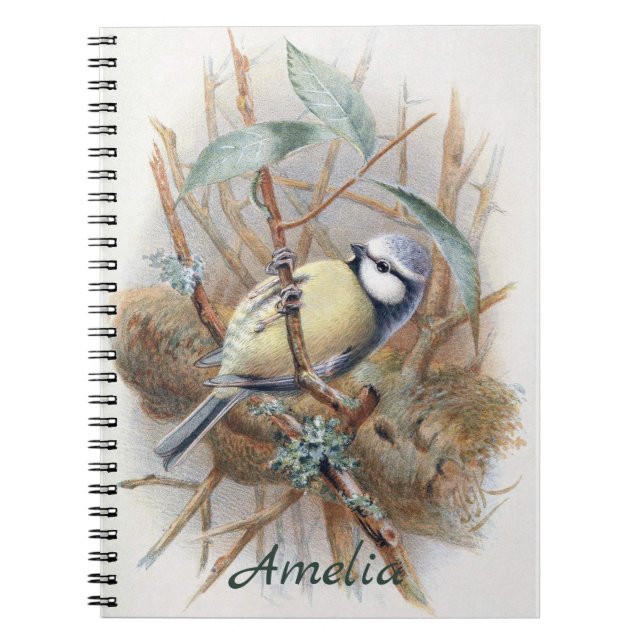 Cuaderno Personalizado Vintage Eurasiática Blue Bird Note B (Frente)