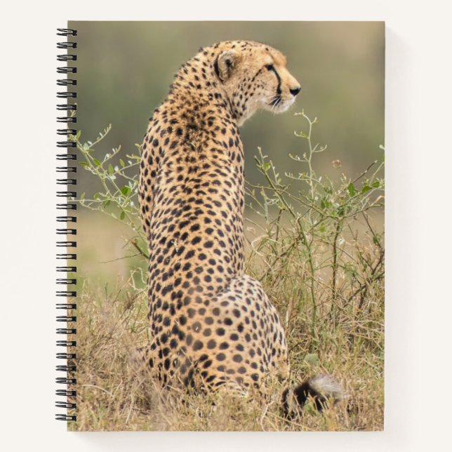 Cuaderno Personalizar el nombre del bloc de notas espiral d (Anverso)