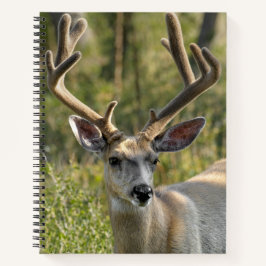 Cuaderno Personalizar el nombre Mule Deer Spiral Notebook